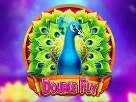 Double Fly